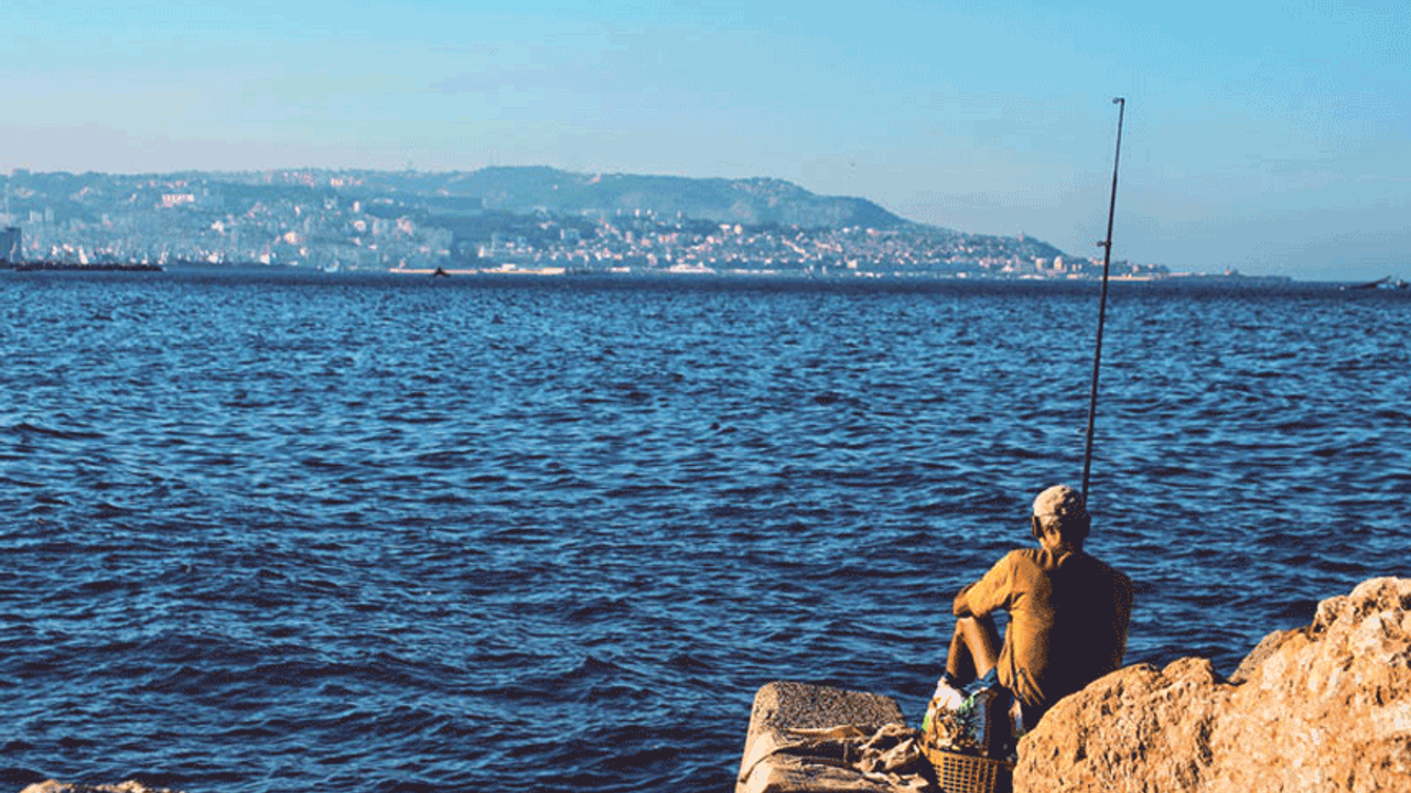 İzmir’de hangi balıklar çıkar?