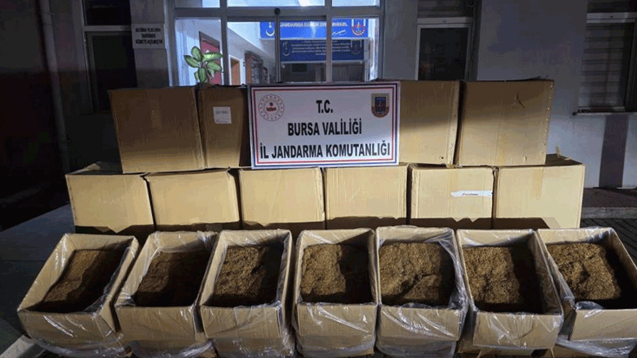 Bursa'da jandarma kaçak tütün ele geçirdi