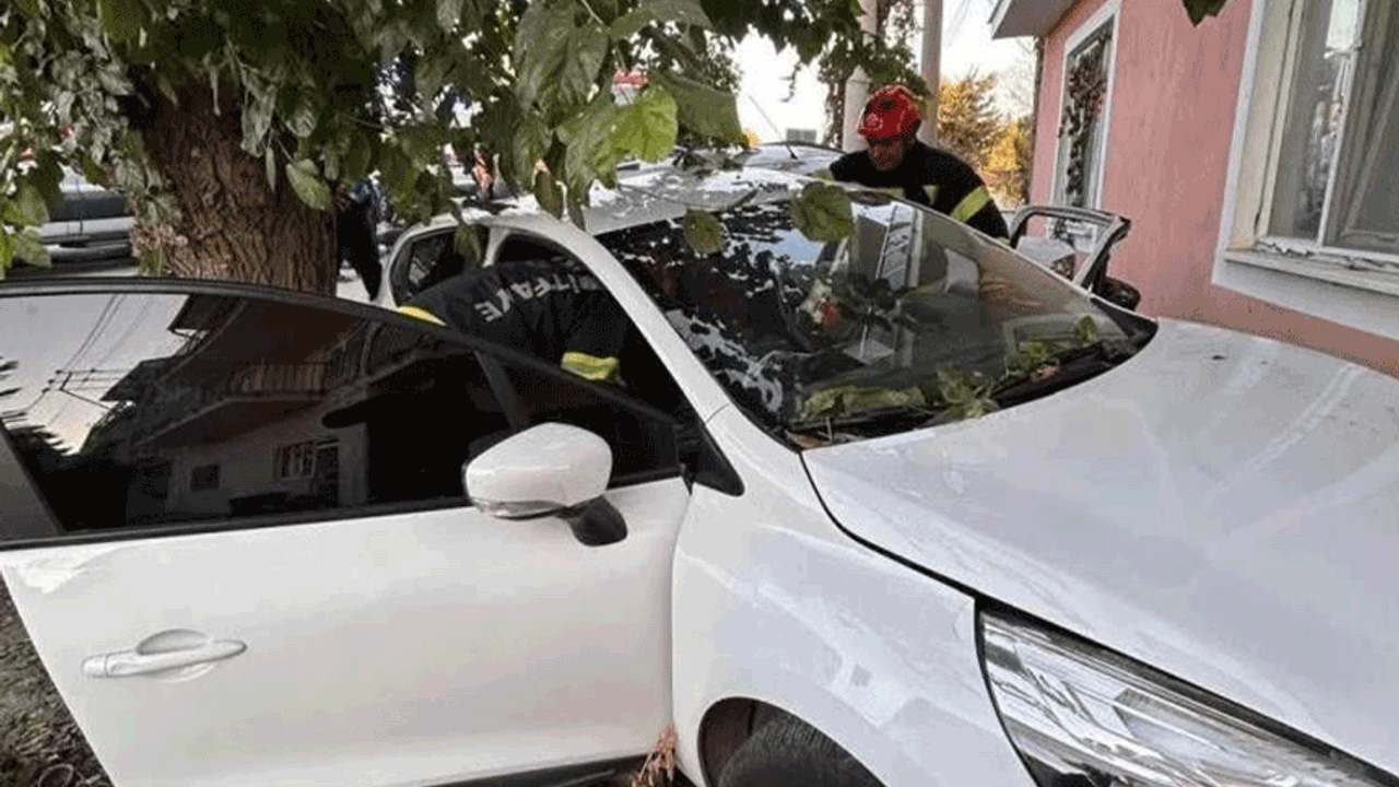 Denizli'de hakimiyetini kaybeden sürücü kaza yaptı