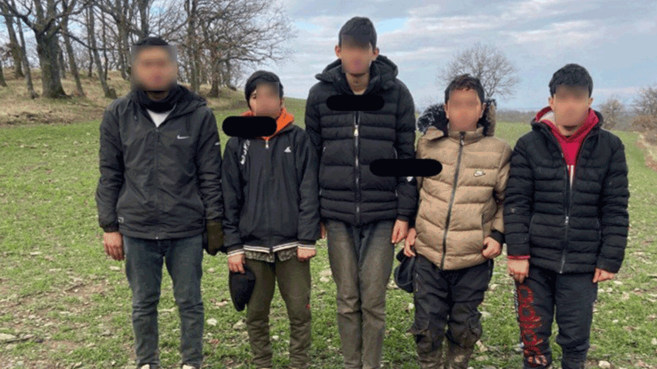 Kırklareli'da jandarma 5 kaçak göçmeni yakaladı