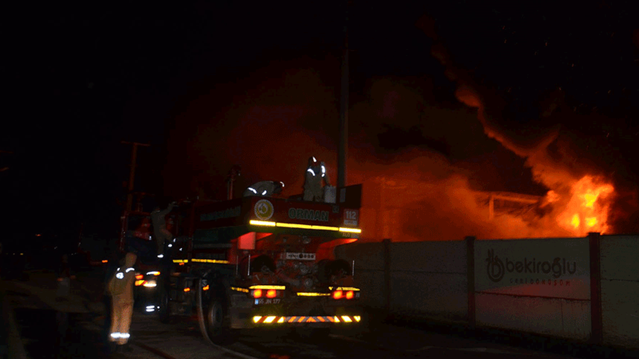 Samsun'da geri dönüşüm tesisinde yangın