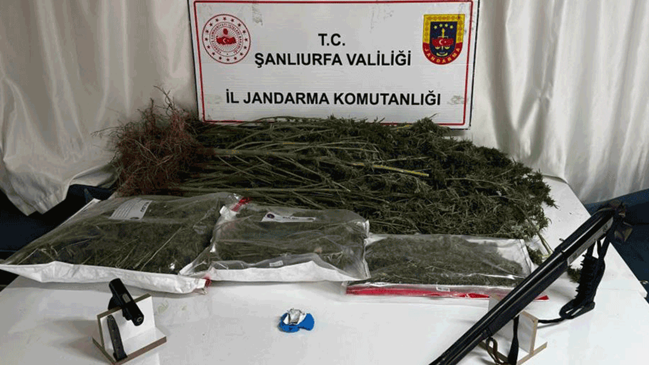 Şanlıurfa'da yasaklı madde operasyonu: 1 gözaltı