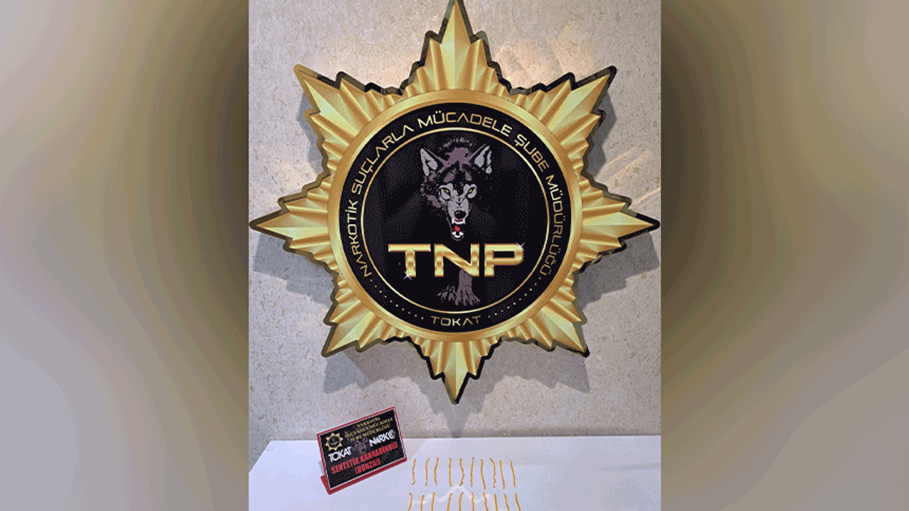 Tokat'ta zehirli madde operasyonu, 500 içimlik bonzai ele geçirildi