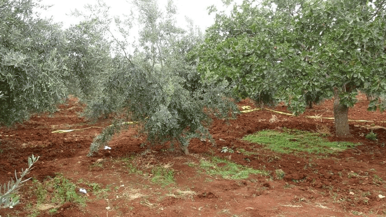 Kilis'te tarlasını sürerken traktörden düşerek hayatını kaybetti