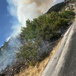 Antalya'da orman yangını