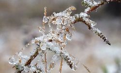 Meteorolojiden Eskişehir'e zirai don uyarısı