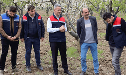 Bilecik'te kiraz bahçelerinde eğitim