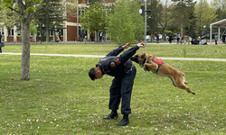 Asayiş köpekleri Atak ve Akan, İKAF'23'de yeteneklerini sergiledi