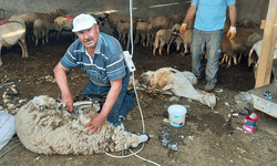 Eskişehir'de sezon açıldı