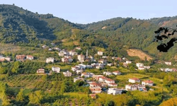 Hırsızlar, Alaplı'da boş evlere dadandı