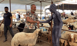 'Örümcek Adam' kurban pazarında