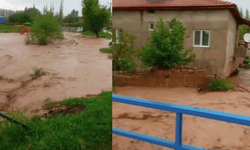 Sağanak sele neden oldu, ev ve ahırları su bastı