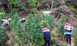Eskişehir'de ormana kurulan uyuşturucu sistemi pes dedirtti