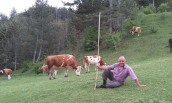 Kastamonu'da domuz avında yanlışlıkla arkadaşını öldürdü