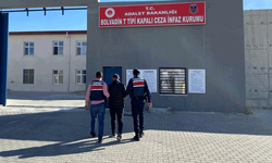 Afyon'da hayvan hırsızı JASAT dedektiflerinden kaçamadı