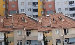 Elazığ'da çocukların tehlikeli oyunu yürekleri ağza getirdi