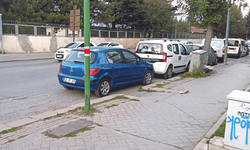 Eskişehir’de caddelerinde tepki toplayan görüntü 