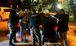 Şanlıurfa'da operasyon: 31 kişi yakalandı
