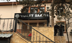 Bilecik'te sokak köpeklerine insanlık dışı muamelede yeni gelişme