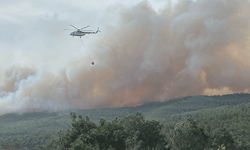 Çanakkale'de yangın sebebiyle köy tahliye edildi