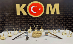 Sivas'ta bir evin içinden tarih çıktı: Fosiller, objeler...