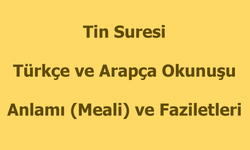 Tin Suresi Okunuşu Türkçe Anlamı Arapça Okunuşu ve Faziletleri