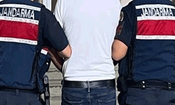 Aydın'da bahçe hırsızı jandarmaya yakalandı
