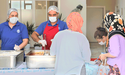 Eskişehir’de 2014’te başladı: Sayısı 3 milyona ulaştı