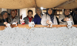 Eskişehir’de kadın çiftçilerin ufkunu açan gezi