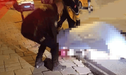 İzmir'de kıskançlık dehşeti: Katil koca tutuklandı
