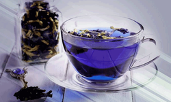 Sıra dışı lezzetin olağanüstü faydaları! Mavi Kelebek çayı nasıl hazırlanır?