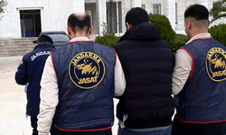 Muğla'da 44 yıl hapis cezası ile aranan suç makinesi yakalandı