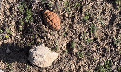 Afyon'da tarlada patlamamış el bombası bulundu
