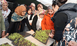 Eskişehir'de kadın çiftçilere süs bitkisi eğitimi verildi