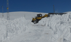 Kars'ta kar ve tipi engeli: Köy yolları ulaşıma kapandı