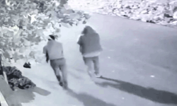 Kırıkkale'de kümeslere dadanan hırsızlar enselendi