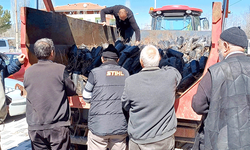 Kütahya'da 800 adet ücretsiz dağıtıldı