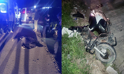 Muğla'da feci kaza: Yaya hayatını kaybetti sürücü ağır yaralı