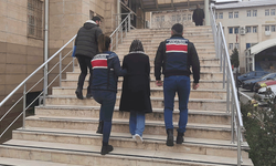 Şırnak'a seçimleri sabote etmek için gelen terörist yakalandı