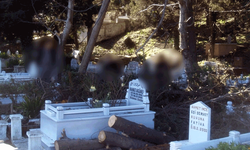 Bartın'da mezarlıkta operasyon: 6 defineci gözaltında