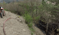 Bolu'da korkutan yangın: Ormana sıçramadan söndürüldü