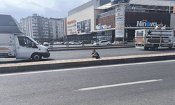 Diyarbakır'da şoke eden görüntü: Yolun ortasına tuvaletini yaptı