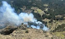 Kütahya’da orman yangını: 2 hektar kül oldu