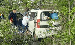Tokat'ta virajı alamayınca ağaca çarptı