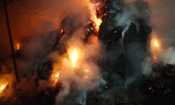 Aydın'da çiftlik yangını: Yüz tonluk saman alev aldı