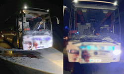 Bitlis'te yolcu otobüsü ata çarptı: At telef oldu