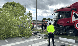 Eskişehir yolunda kaza: Ağaca çarparak durabildi