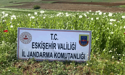 Eskişehir’de binlerce dönüm tarlada haşhaş bitkisi ele geçirildi