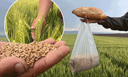Eskişehir’de çiftçinin 1 kilogram buğdayı 1 ekmek etmiyor