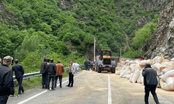 Gümüşhane'de saman yüklü tır yan yattı